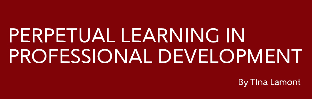 perpetual-learning-in-professional-development-the-excellence-centre